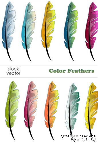 Векторный клипарт - Color Feathers