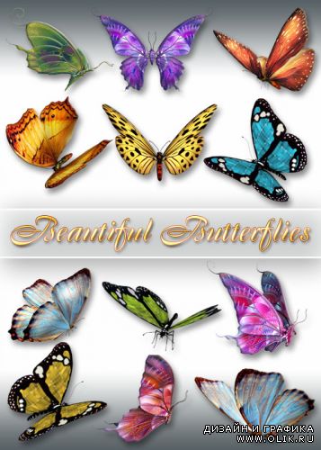 Клипарт PNG - Красивые бабочки