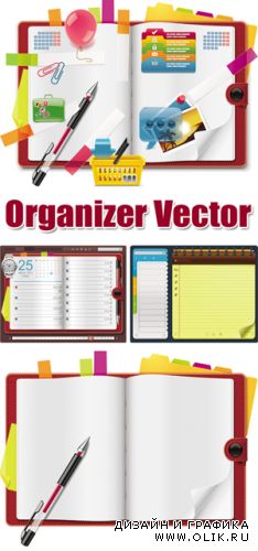 Organizer Vector