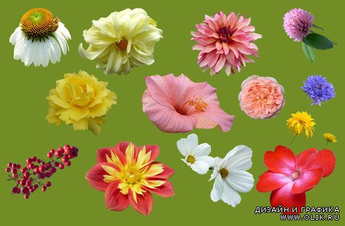 PSD Клипарт - Набор весенних цветов (Часть 2)