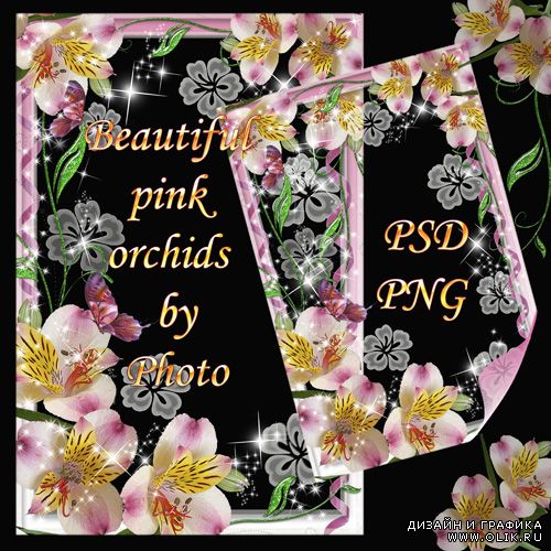 Цветочная рамка - Красивые розовые орхидеи