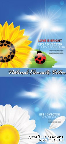 Natural Elements Vector