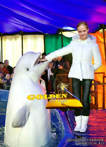 Шаблон для фотомонтажа- Девочка с дельфином