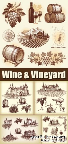 Wine & Vineyard Vector
