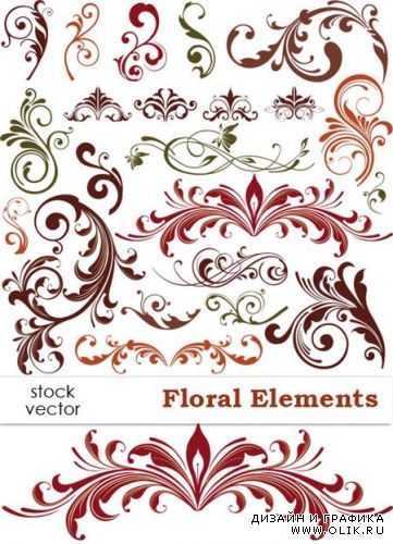 Vector - Floral Elements | Растительные элементы, вектор