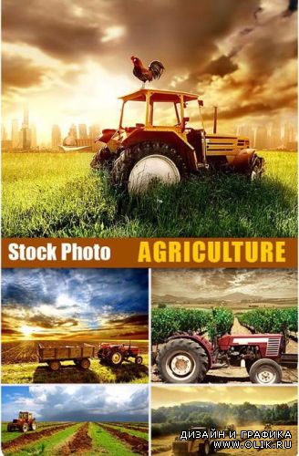 Agriculture | ClipArt | Сельское хозяйство