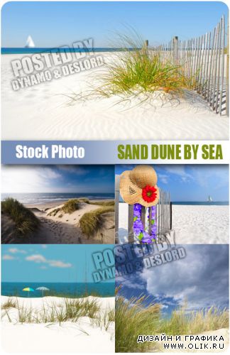 Песчаные дюны на пляже - растровый клипарт