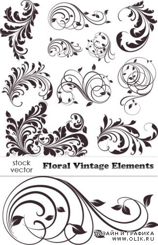 Векторный клипарт - Floral Vintage Elements