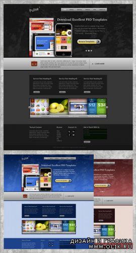 Website PSD Template in 3 colors
