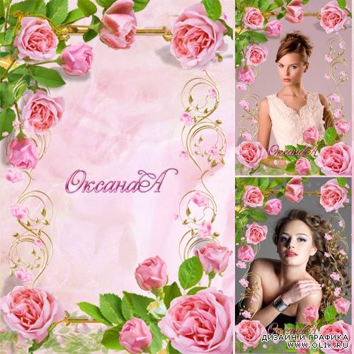 Рамка для фотошоп – Очарование розовых роз