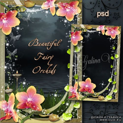 Цветочная рамка - Сказочная красота орхидей
