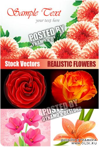 Реалистичные цветы - векторный клипарт