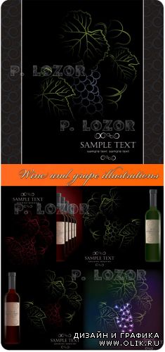 Wine and grape illustrations