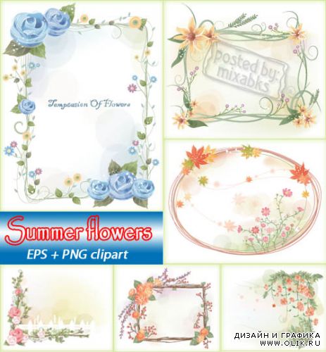 Летние цветы  | Summer Flowers (EPS + PNG clipart)