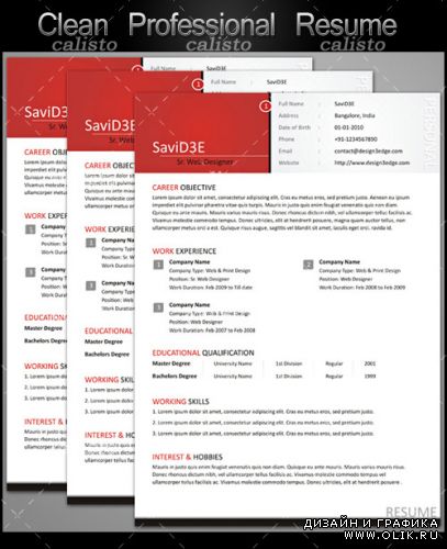 Clean Professional Resume