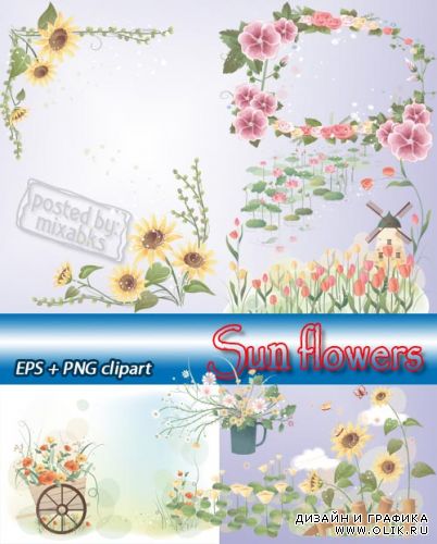 Летние солнечные цветы  | Sun Flowers (EPS + PNG clipart)