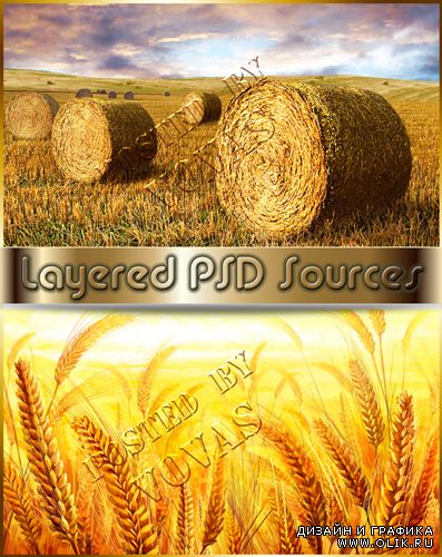 Многослойные PSD исходники Golden Grains & Making Hay