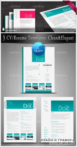 3 CV/Resume Templates: Clean & Elegant