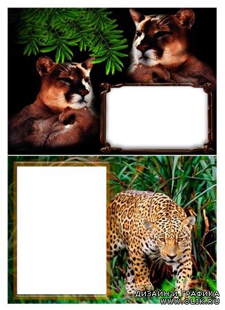 Дикая природа | Wild Nature (PNG frames)