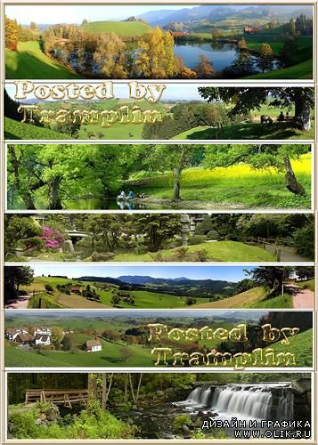 Набор панорамных фото – Леса, парки и травяное угодье. Мир зеленого цвета