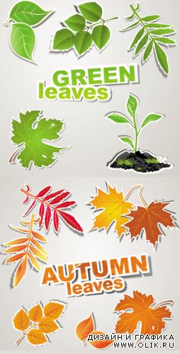 Leaves Stickers Vector