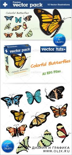 Premium Vector Pack – Colorful Butterflies