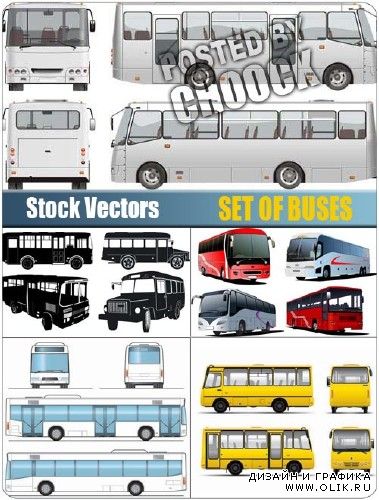 Векторная коллекция автобусов | Vector set of buses