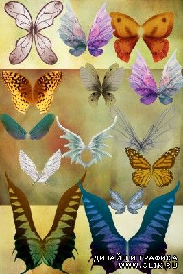 Psd fairy Butterfly wings