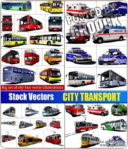 Городской транспорт | City transport
