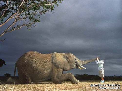 Шаблон детский - маленький мальчик и большой слон