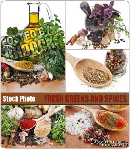 Свежая зелень и специи | Fresh greens and spices