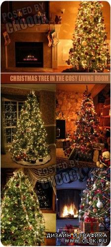 Christmas tree in the cosy living room | Новогодняя елка в уютной комнате