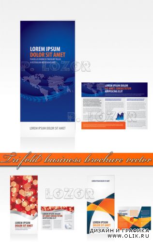 Tri fold business brochure vector