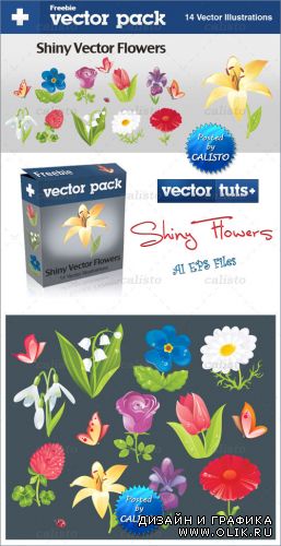 Shiny Vector Flowers