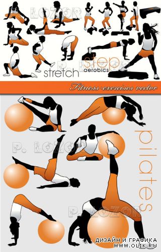 Фитнес | Fitness exercises vector