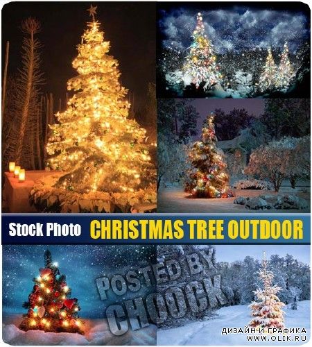Новогодняя елка на природе | Christmas tree outdoor