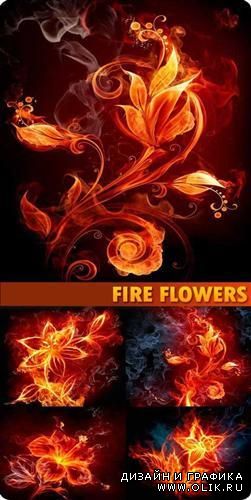 Семь огненных цветов - фоны