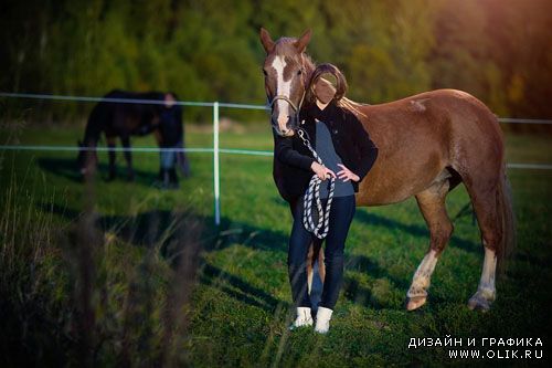 Женский шаблон для фотошоп - в поле с лошадью