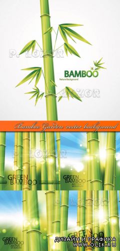 Бамбук векторный фон | Bamboo Garden vector background