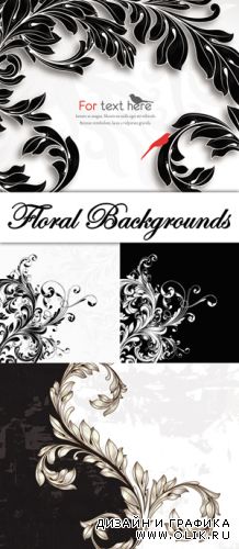 Black-White Floral Cards Vector