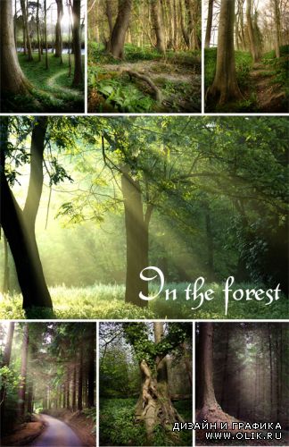 In the forest - ClipArt