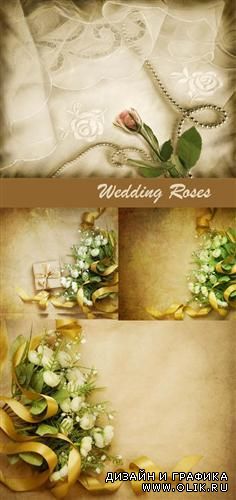 Свадебные розы (ретро фоны)