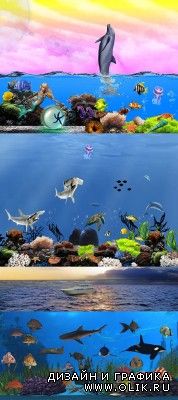 PSD for PHSP - Beautiful underwater world