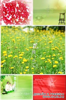 New PSD Flowers collection for PHSP 2012 pack 2