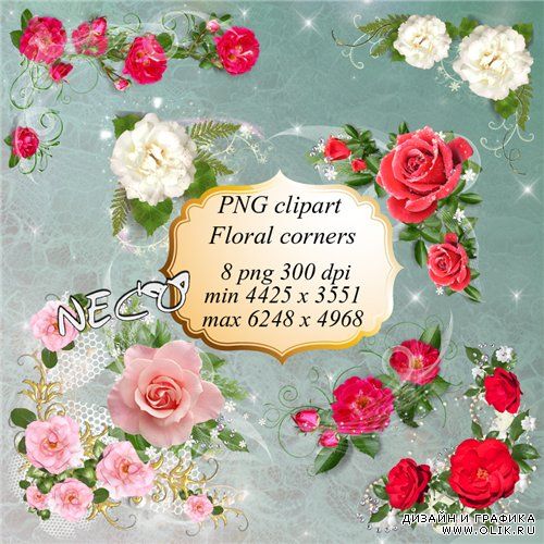 PNG клипарт - Цветочные уголки с белыми, розовыми и красными розами
