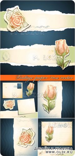 Винтажная открытка роза из бумаги вектор | Vintage paper rose vector