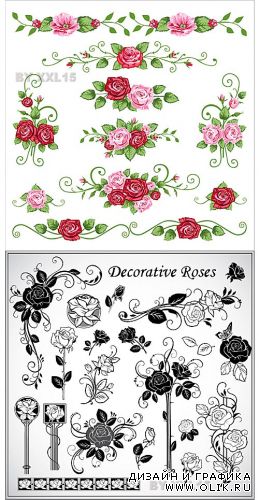 Collection of decorative roses
