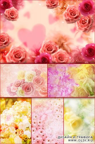 Floral & Romantic backgrounds