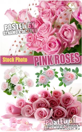 Розовые розы - растровый клипарт