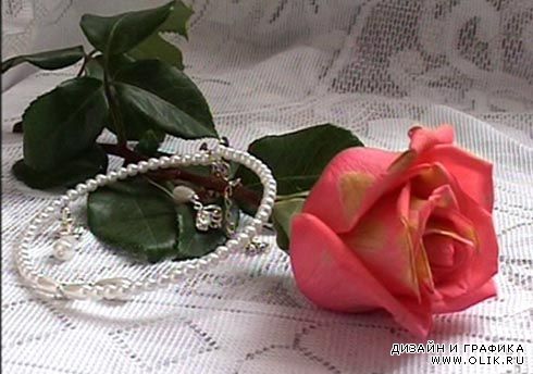 Футаж-роза с ожерельем
